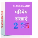 Chapter 1. परिमेय संख्याएँ CLASS 8 WORKSHEET