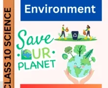 Our Environment CBSE CLASS 10 WORKSHEET