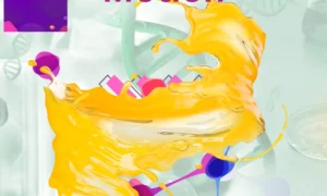 MOTION CLASS 9: A Great Learning