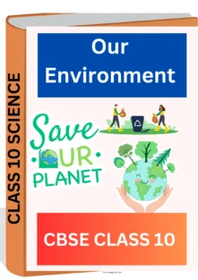 Our Environment CBSE CLASS 10 WORKSHEET